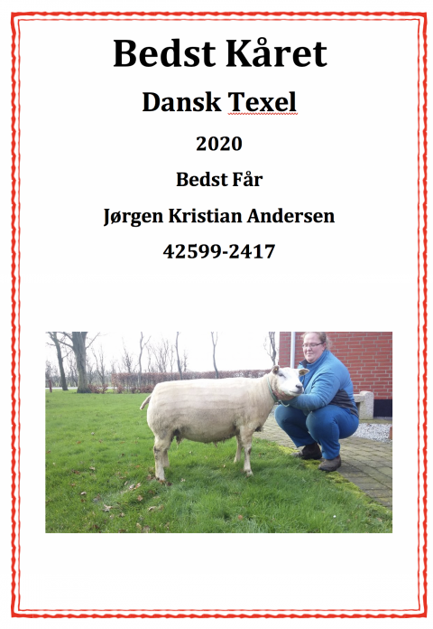 Bedst kåret får 2020